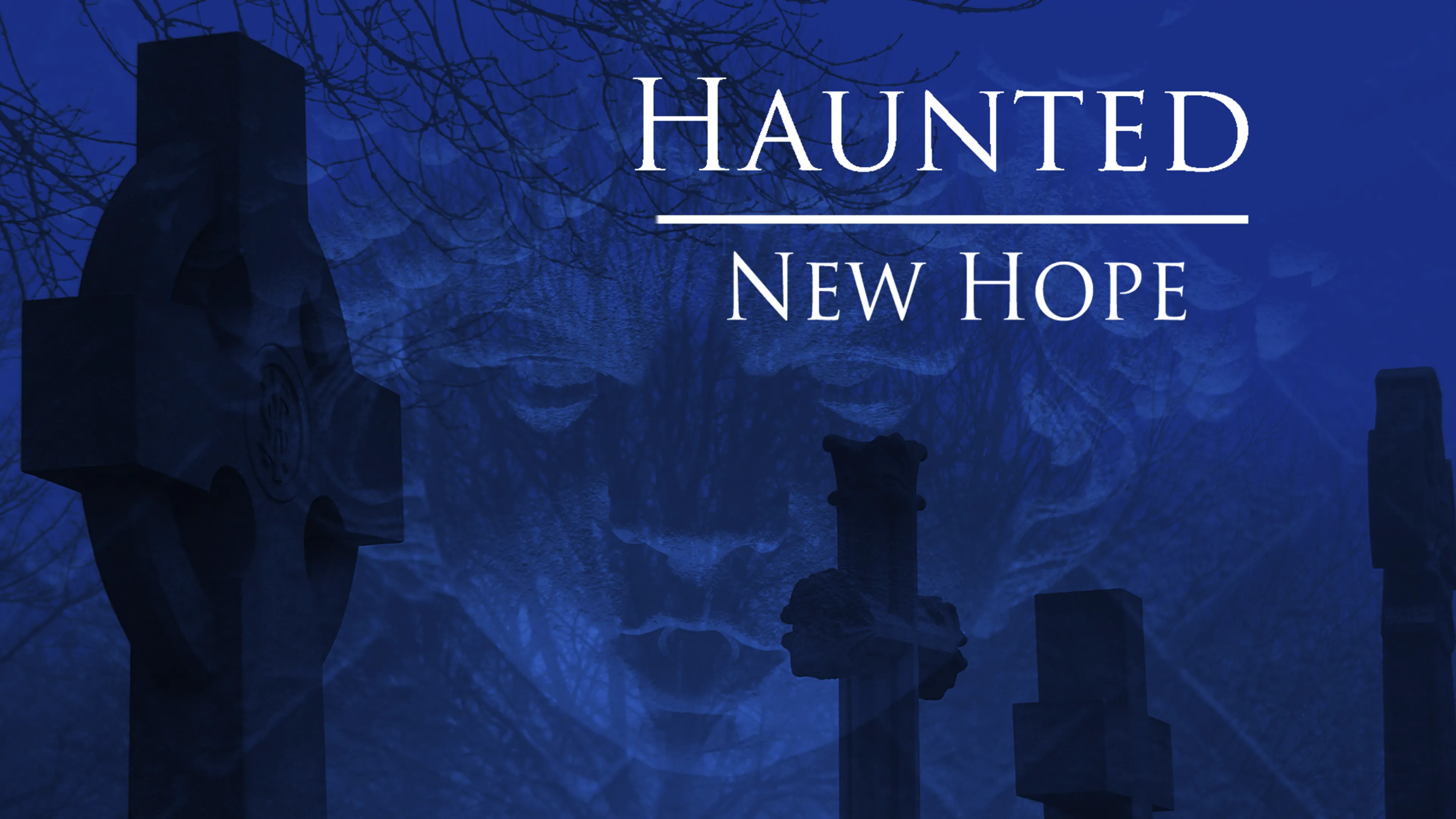 Haunted New Hope poster